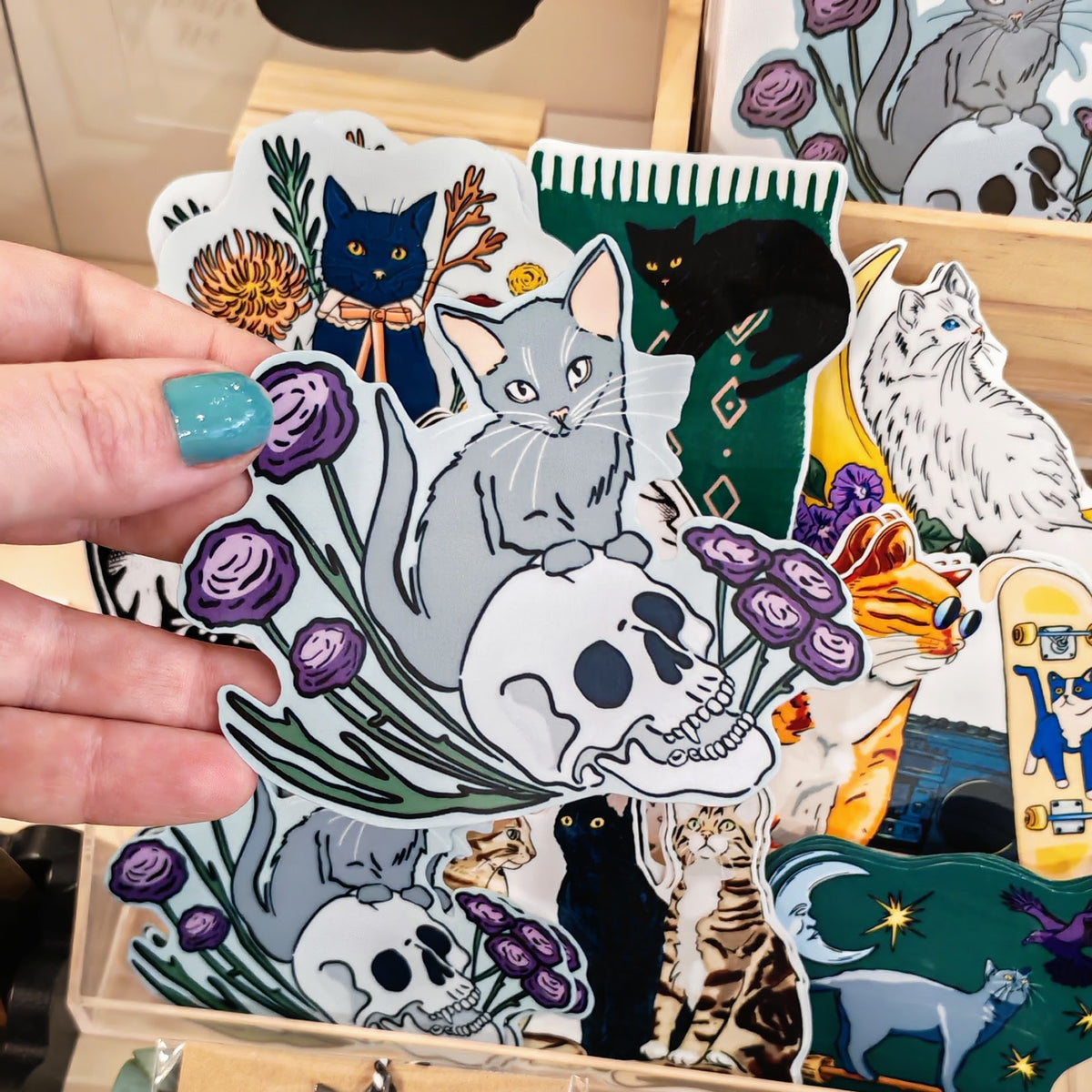 Grey cat sitting on skull sticker