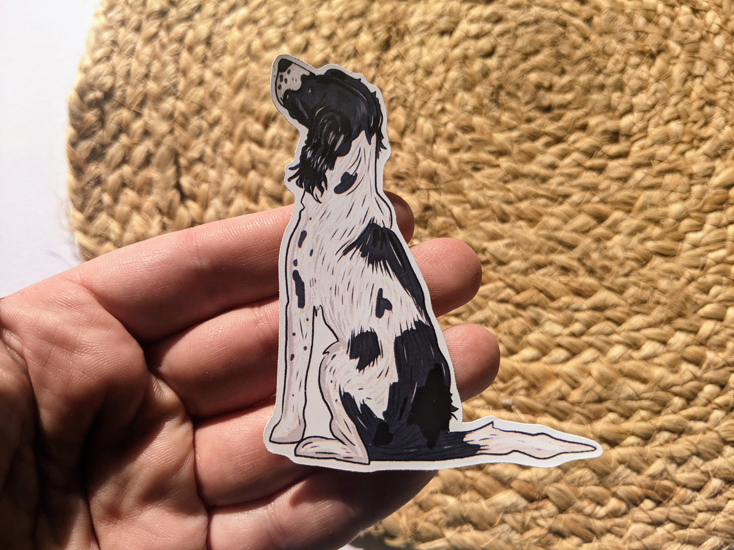 English Springer Spaniel Sticker