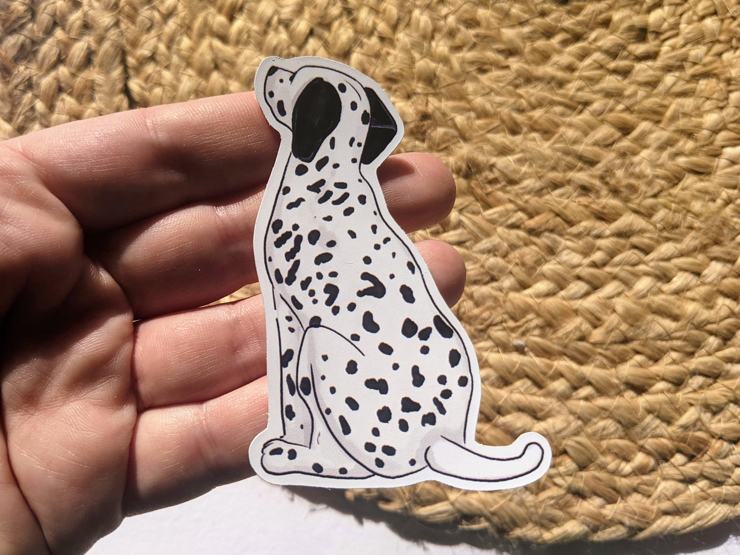 Dalmatian Dog Sticker