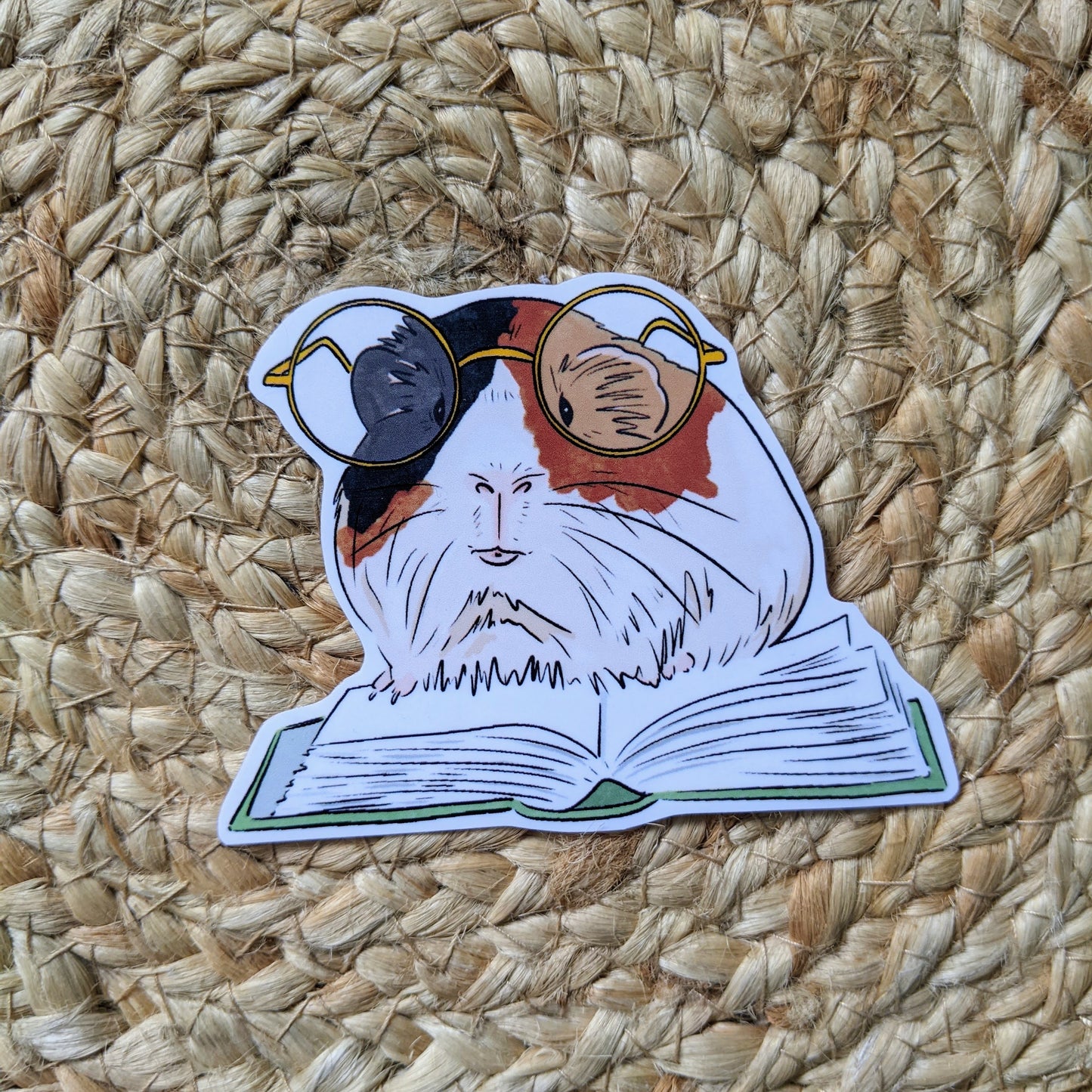 Guinea Pig With Book Sticker
