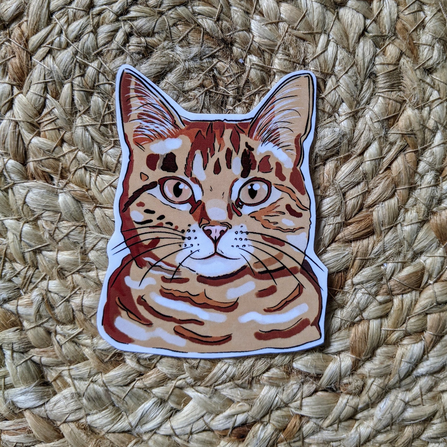 Ginger cat sticker