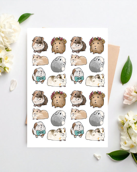 Guinea Pig Greetings Card