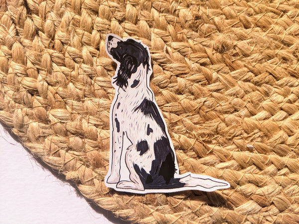 English Springer Spaniel Sticker