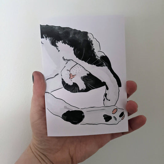 Sleeping Tuxedo Cat Greetings Card