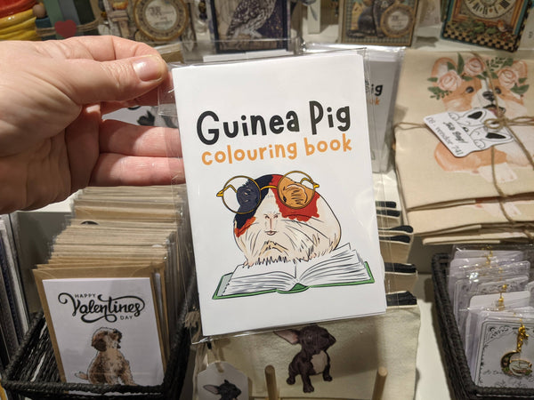Guinea Pig Colouring Book!