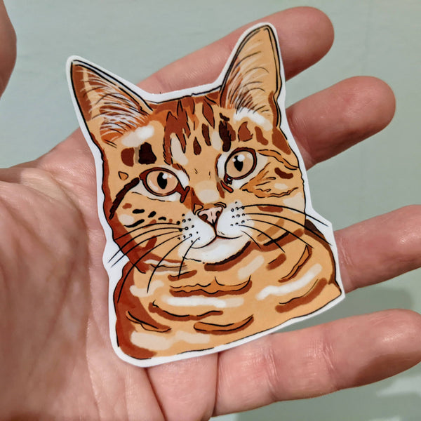 Ginger cat sticker