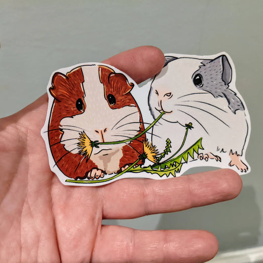 Guinea Pigs eating a dandelion sticker