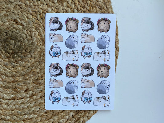 Guinea Pig Sticker Sheet
